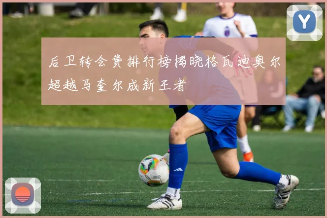 后卫转会费排行榜揭晓格瓦迪奥尔超越马奎尔成新王者