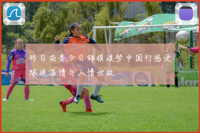 昨日花香今日锦旗追梦中国行感受球迷温情与人情世故