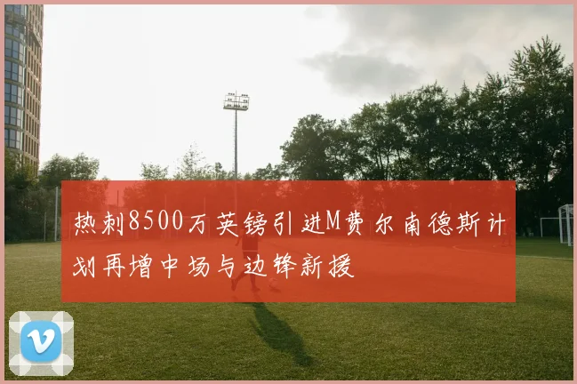 热刺8500万英镑引进M费尔南德斯计划再增中场与边锋新援