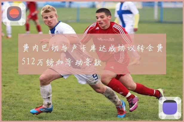 费内巴切与卢卡库达成协议转会费512万镑加浮动条款